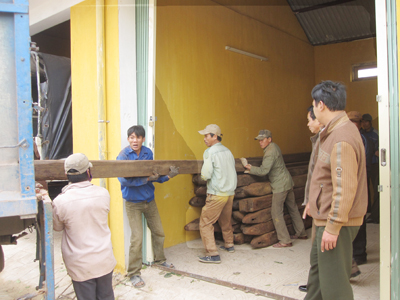 Thu giữ gỗ lậu tại Đội Kiểm lâm cơ động và PCCC rừng số 1.  