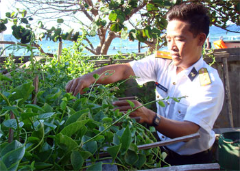 Chiến sỹ đảo An Bang chăm sóc vườn rau xanh, góp phần nâng cao chất lượng bữa ăn cho đồng đội.