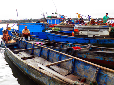 Những thuyền đánh ruốc trống không sau một ngày dài tìm ruốc ở vùng biển bãi ngang Hải Ninh (Quảng Ninh). Ảnh: M.P