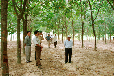 Trang trại của cựu TNXP Nguyễn Văn Thanh (Bố Trạch). Ảnh: H.Q