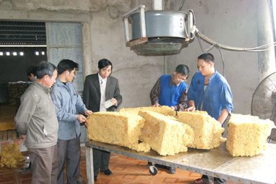 Sơ chế mủ cao su tại doanh nghiệp cao su Thanh Long của anh Nguyễn Viết Lượng (thị trấn Việt Trung). Ảnh: N.M