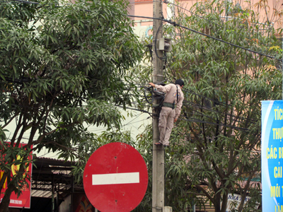 Những búi dây chằng chịt trên cột điện tại  đường Trần Hưng Đạo (TP Đồng Hới). Ảnh: B.A