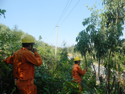 Phát quang hành lang bảo đảm an toàn lưới điện  trước mùa mưa bão.