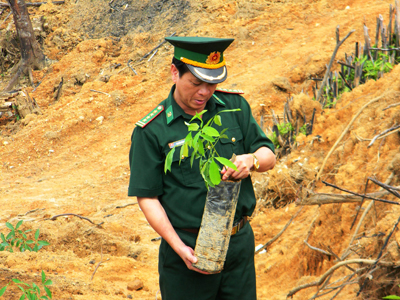 Đại tá Nguyễn Văn Phúc, Chỉ huy trưởng BĐBP tỉnh kiểm tra chất lượng giống cây cao su.
