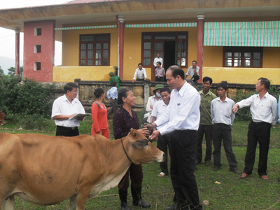 Trao bò giống cho hộ nghèo ở xã Sơn Lộc.