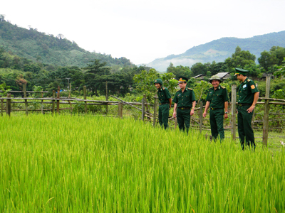 Lãnh đạo Bộ Chỉ huy BĐBP tỉnh kiểm tra mô hình trồng lúa nước ở bản Ka Ai, xã Dân Hóa (Minh Hóa).