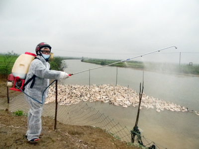 Cán bộ thú y huyện Lệ Thủy tiến hành phun thuốc vệ sinh tiêu độc khử trùng để phát triển chăn nuôi.