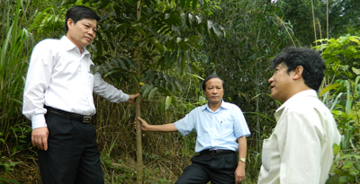 Đồng chí Trần Văn Tuân, Phó Chủ tịch UBND tỉnh kiểm tra rừng trồng tại xã Hóa Sơn