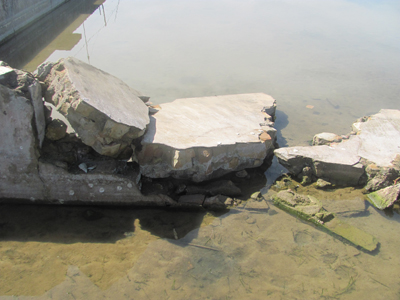 Nhiều hồ đã bị đổ tường bê tông.