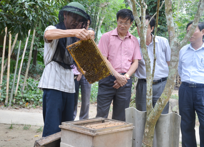 Đồng chí Lương Ngọc Bính, Ủy viên Trung ương Đảng, Bí thư Tỉnh ủy, Chủ tịch HĐND tỉnh thăm hộ nuôi ong ở xã Xuân Hoá (Minh Hoá)  Ảnh: Tr.T