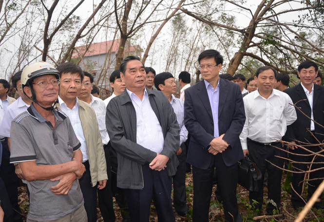 Đồng chí Lê Hồng Anh, Uỷ viên Bộ Chính trị, Thường trực Ban Bí thư Trung ương Đảng, thăm vườn cây cao su bị hư hại ở thị trấn Nông trường Việt Trung.
