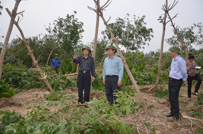 Đồng chí Hoàng Đăng Quang, Phó Bí thư Thường trực Tỉnh uỷ, Trưởng đoàn đại biểu Quốc hội tỉnh kiểm tra tình hình sau bão số 10 tại Công ty LCN Long Đại.