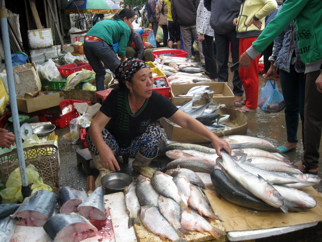 Thực phẩm, cá ruộng, cá biển đều có đủ tại chợ Quy Đạt.