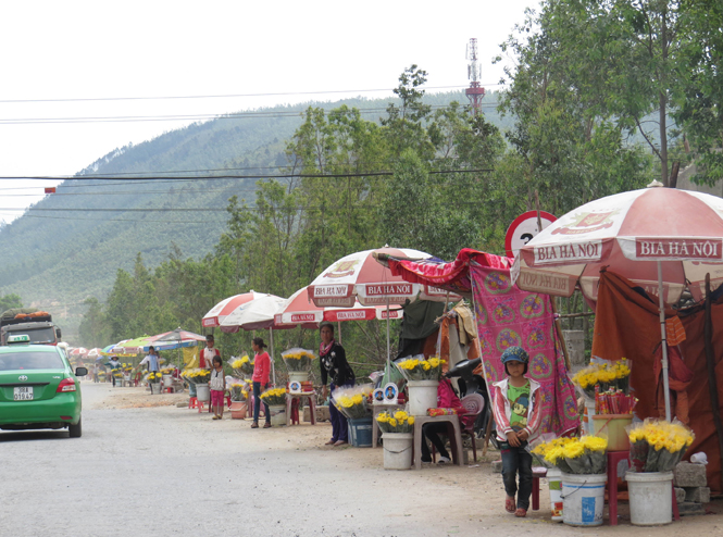 Chủ tịch UBND tỉnh Quảng Bình yêu cầu chấn chỉnh việc bán hoa, ảnh tự phát ở khu vực Vũng Chùa.
