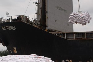 Bốc xếp gạo xuất khẩu tại cảng Đồng Nai. (Ảnh: TTXVN)