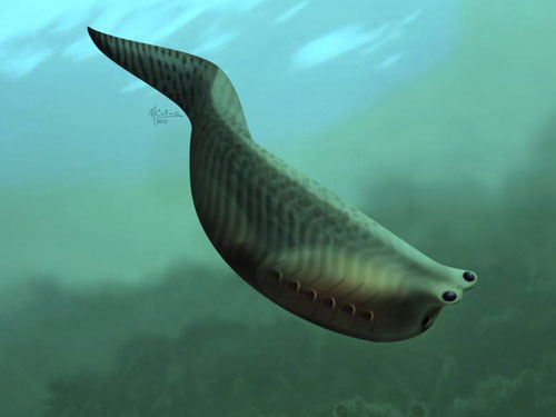 Metaspriggina cũng giống như thủy tổ của loài xương sống - Ảnh: Reuters
