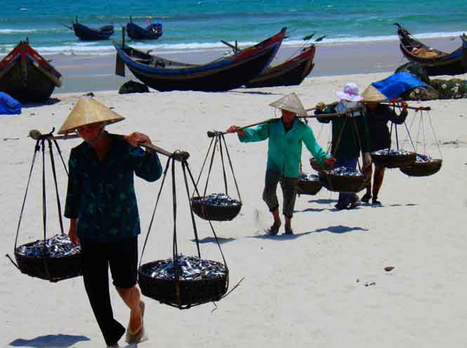 Gánh cá Hải Ninh đã bền dai hơn 350 năm nuôi sống bao thế hệ giữ làng giữ nước.