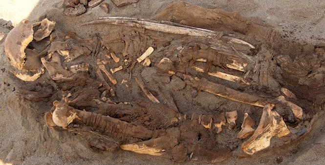 Một xác ướp mới được khai quật ở Atacama (Nguồn: IBTimes)