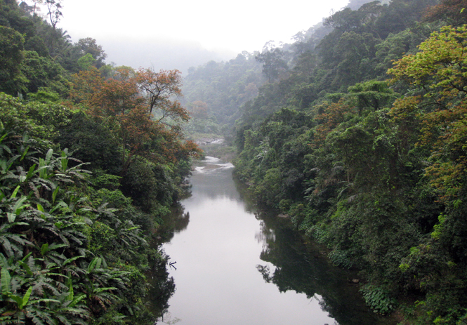 Rừng Khe Nước Trong một trong những dải rừng nhiệt đới ẩm trên đất thấp quan trọng bậc nhất còn lại ở Việt Nam.