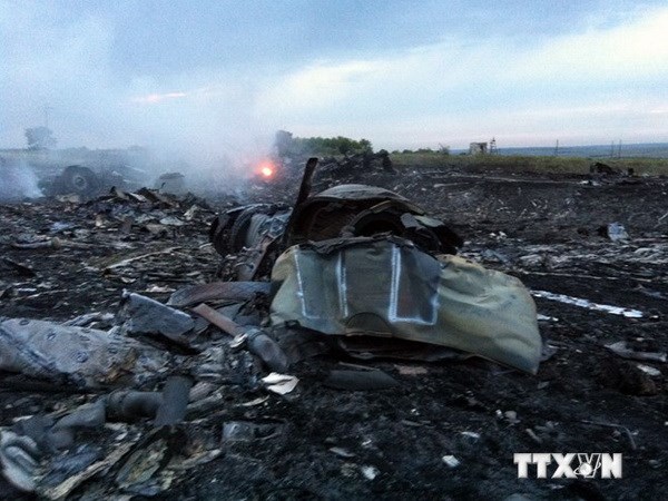Hiện trường vụ máy bay rơi MH-17. (Ảnh: AFP/TTXVN)