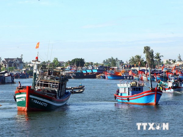 Tàu thuyền ngư dân Quảng Ngãi neo đậu tại cảng cá Sa Kỳ. (Ảnh: Huy Hùng/TTXVN)