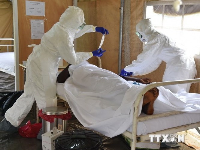 Nhân viên y tế chăm sóc một bệnh nhân nhiễm Ebola. (Nguồn: AFP/TTXVN)