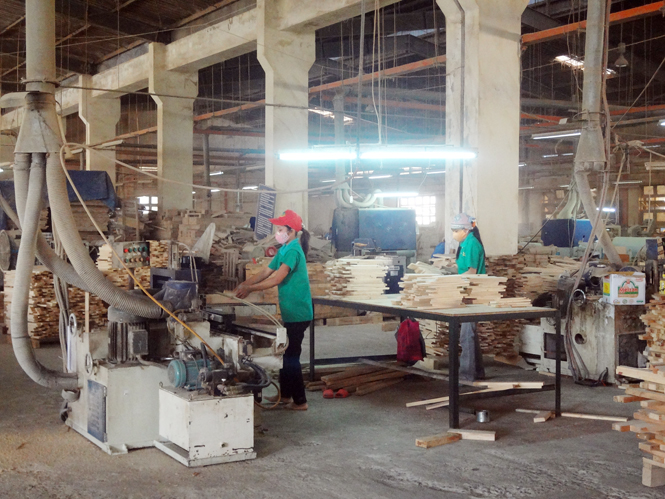 Chế biến sản phẩm tại Nhà máy chế biến gỗ xuất khẩu Phú Quý. (Công ty Việt Trung).