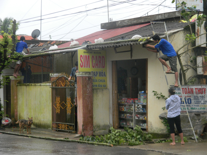 Người dân huyện Lệ Thủy chặt tỉa cây xanh, gia cố lại nhà cửa để đối phó với bão lũ.