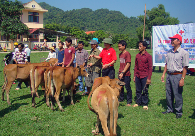 Đại diện Hội CTĐ và nhà tài trợ trao bò cho đồng bào.