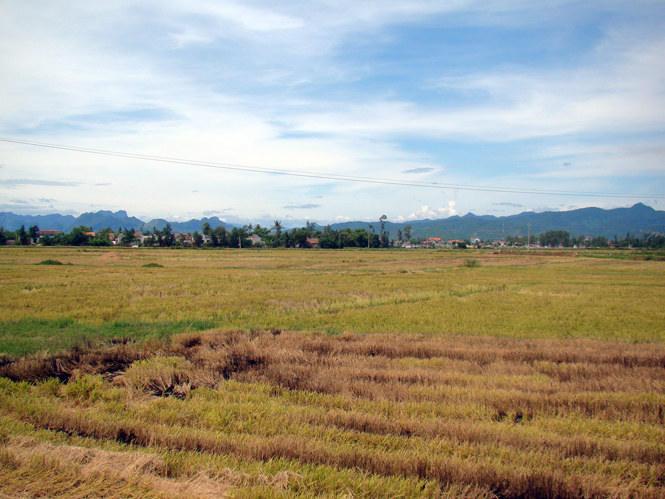 Sau DĐĐT, những cánh đồng của xã Duy Ninh sẽ có quy mô lớn hơn.