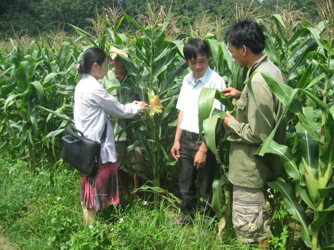 Cán bộ trẻ 30a xã Tân Hóa đang hướng dẫn bà con sản xuất nông nghiệp.