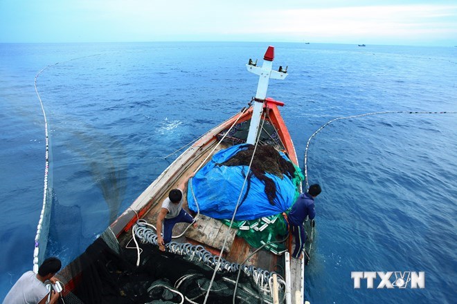 Ngư dân huyện Lý Sơn đánh bắt hải sản trên vùng biển tỉnh Quảng Ngãi. (Ảnh: Lâm Khánh/TTXVN)