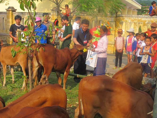 Đồng chí Trần Dũng, Phó Chủ tịch UBND tỉnh trao bò cho người dân
