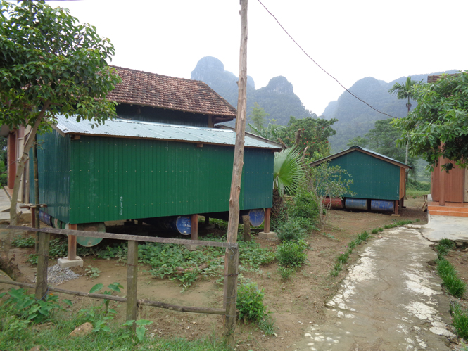 Người dân xã Tân Hóa làm nhà nổi để bảo vệ tài sản, vật nuôi trước mùa mưa lũ.