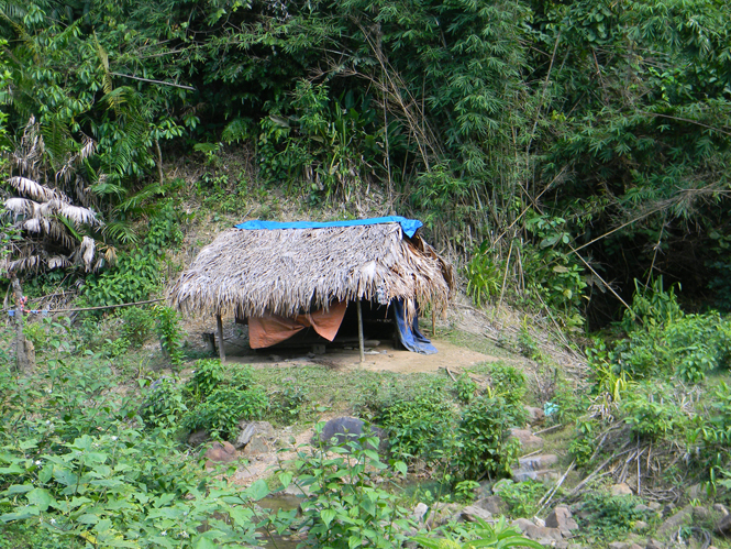 Một trong những lán trại dựng tạm của đồng bào dân tộc Mã Liềng cách bản Ma Đao (cũ) khoảng 6 cây số.