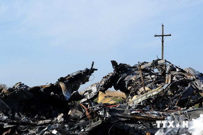 Những mảnh vỡ của máy bay MH17 gần làng Rassipnoe, miền Đông Ukraine ngày 15-10. (Ảnh: AFP/TTXVN)