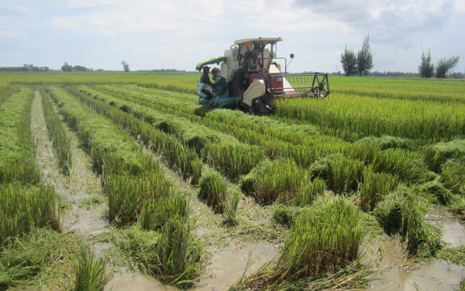 Nông dân huyện Quảng Ninh cơ giới hóa sản xuất nông nghiệp.