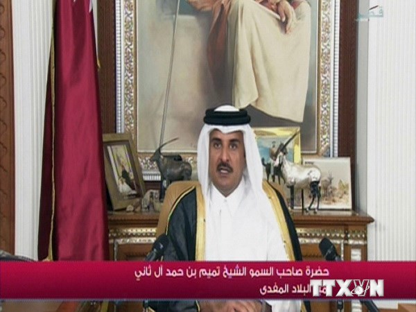 Quốc vương Sheikh Tamim bin Hamad al-Thani phát biểu trên truyền hình năm 2013. (Ảnh: AFP/TTXVN)