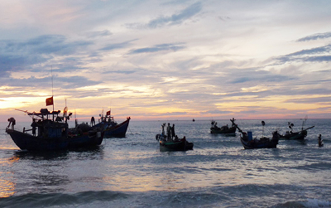 Thành lập các tổ hợp tác đánh bắt thủy hải sản góp phần giúp ngư dân hỗ trợ nhau trong hoạt động tìm kiếm ngư trường.