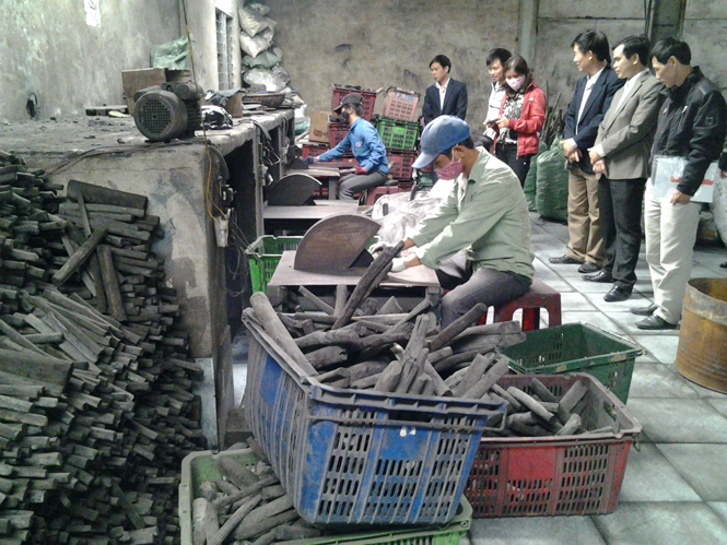Mô hình sản xuất than chuông tại Công ty CP Tân Hoàn Cầu.
