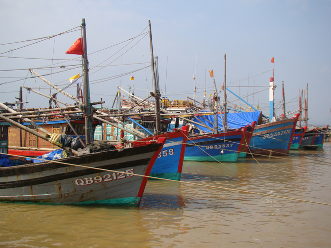 Đội tàu đánh bắt xa bờ của ngư dân phường Quảng Phúc, thị xã Ba Đồn.  Ảnh: A.Tuân