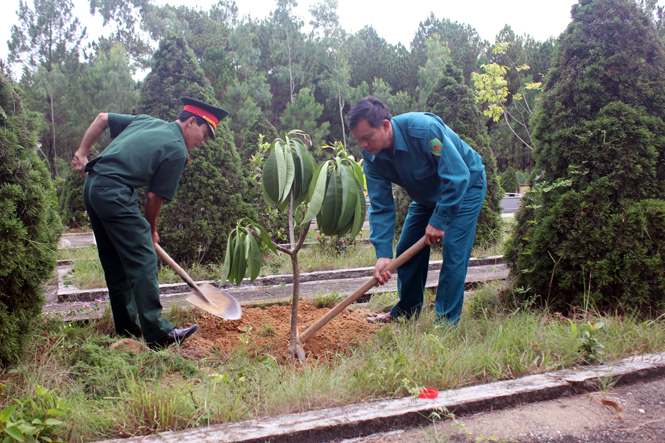Cán bộ, chiến sỹ Ban chỉ huy Quân sự huyện Bố Trạch trồng cây xanh tạo cảnh quan trong cơ quan.