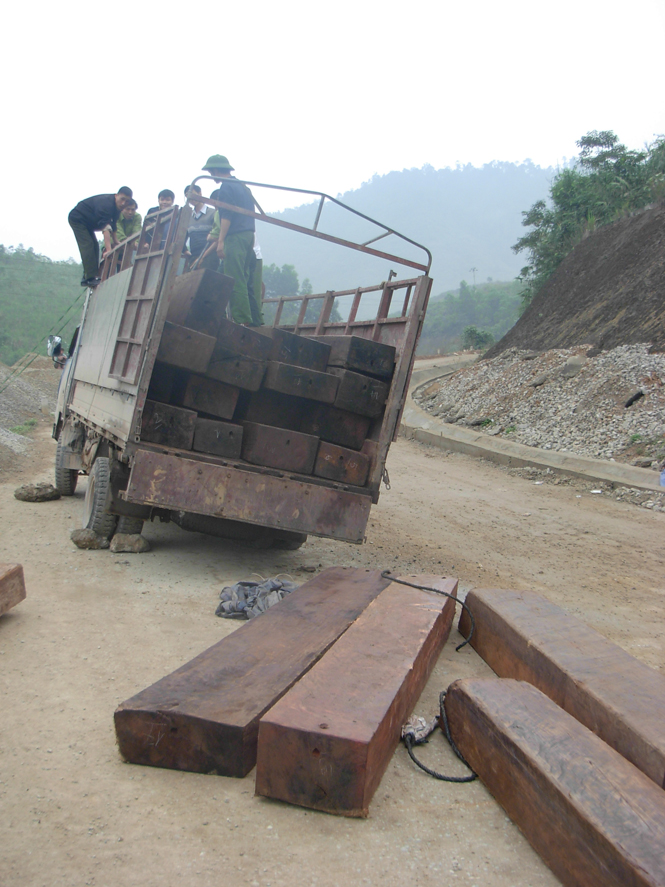 Lực lượng chức năng bắt giữ một vụ vận chuyển gỗ lậu ở Minh Hóa.