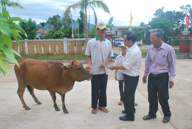  Tổ chức trao bò giống cho hộ nghèo khuyết tật xã Quảng Tùng (Quảng Trạch)