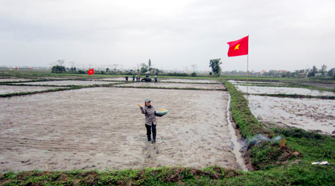 Phụ nữ được lựa chọn gieo hạt giống đầu tiên trong lễ hội xuống đồng xã Lộc Ninh.