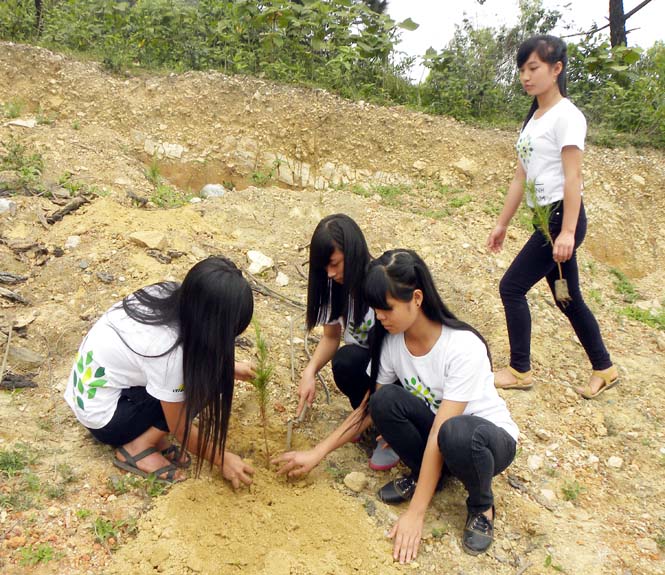 Các đoàn viên thanh niên tham gia trồng cây.