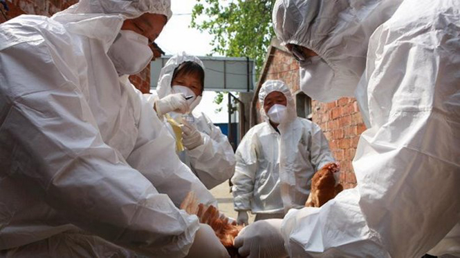 Nhân viên y tế phòng chống H7N9. (Nguồn: Getty Images)