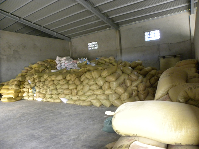 Kho chứa sản phẩm nông nghiệp chế biến của Công ty TNHH Diến Hồng.