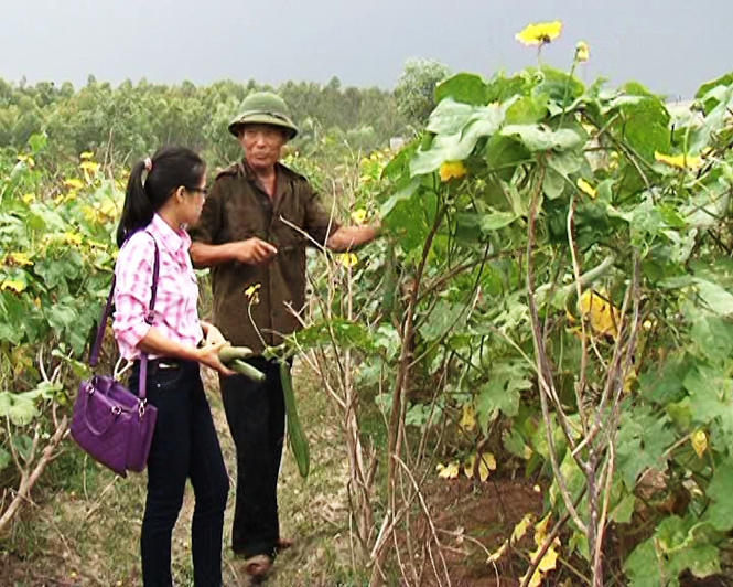 Cựu chiến binh Nguyễn Thái Bình bên trang trại tổng hợp của mình.