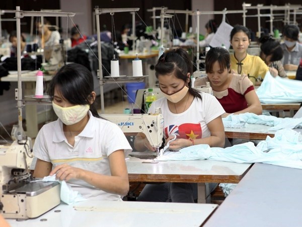Nhiều lao động trong ngành dệt may, da giày muốn được hưởng bảo hiểm xã hội một lần. (Ảnh minh họa: TTXVN)